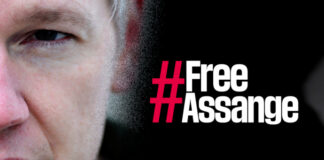 RSF for Assange